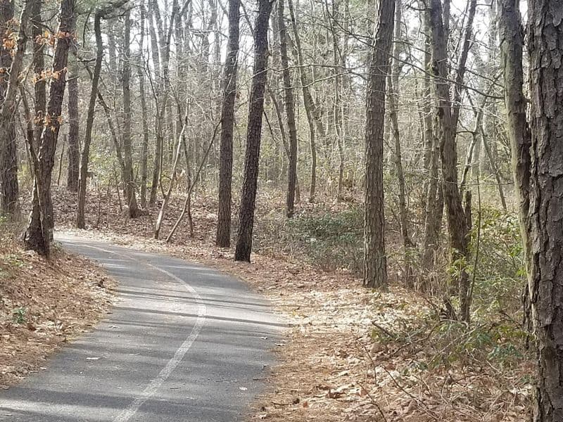 Why Blueberry Hill Is Suddenly on Everyone’s New Jersey Bucket List