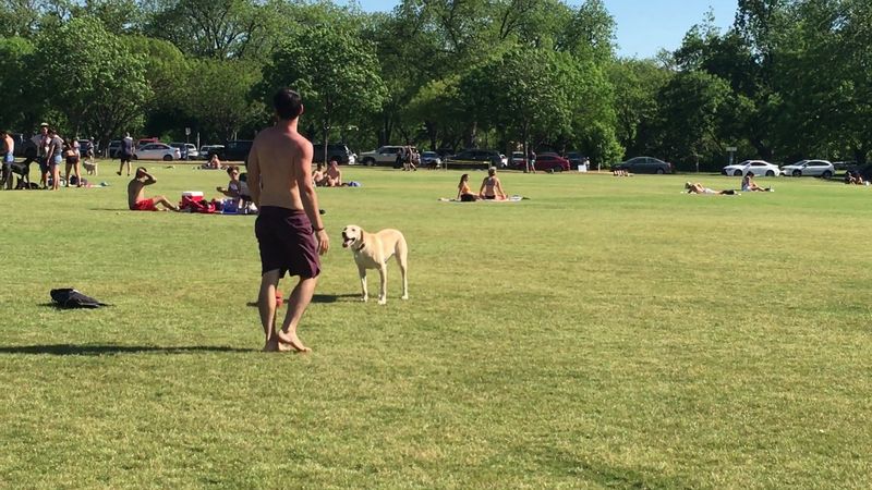 Safety, Comfort, And Crowd Flow