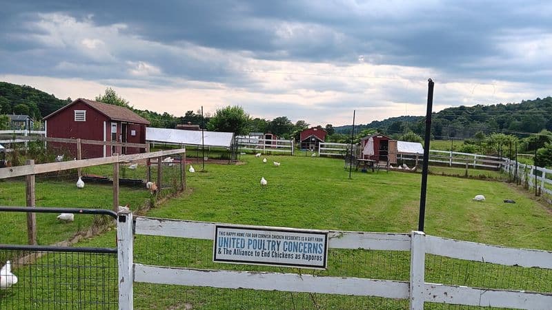 How visitors can experience the sanctuary through tours, stays, and volunteering