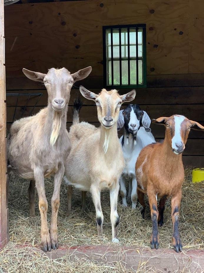 Why a place like this leaves such a lasting impression on everyone who visits