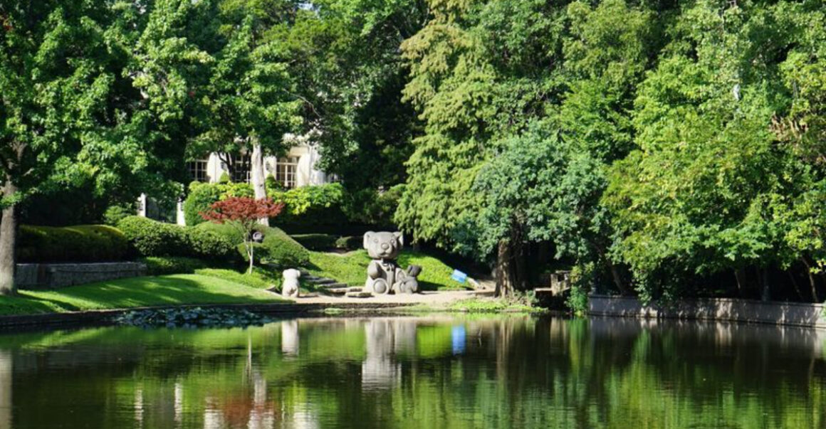 dallas secret wonderland giant teddy bears take over lakeside park