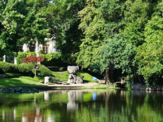 dallas secret wonderland giant teddy bears take over lakeside park