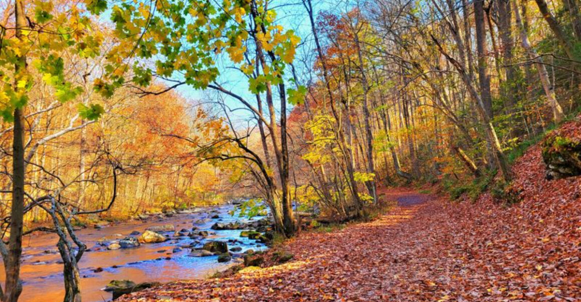the new jersey gorge that feels straight out of a postcard
