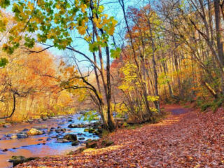 the new jersey gorge that feels straight out of a postcard