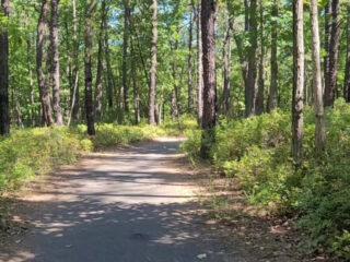 this scenic 32 mile new jersey trail is blowing hikers away in 2026