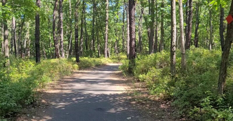 This Scenic 3.2-Mile New Jersey Trail Is Blowing Hikers Away in 2026