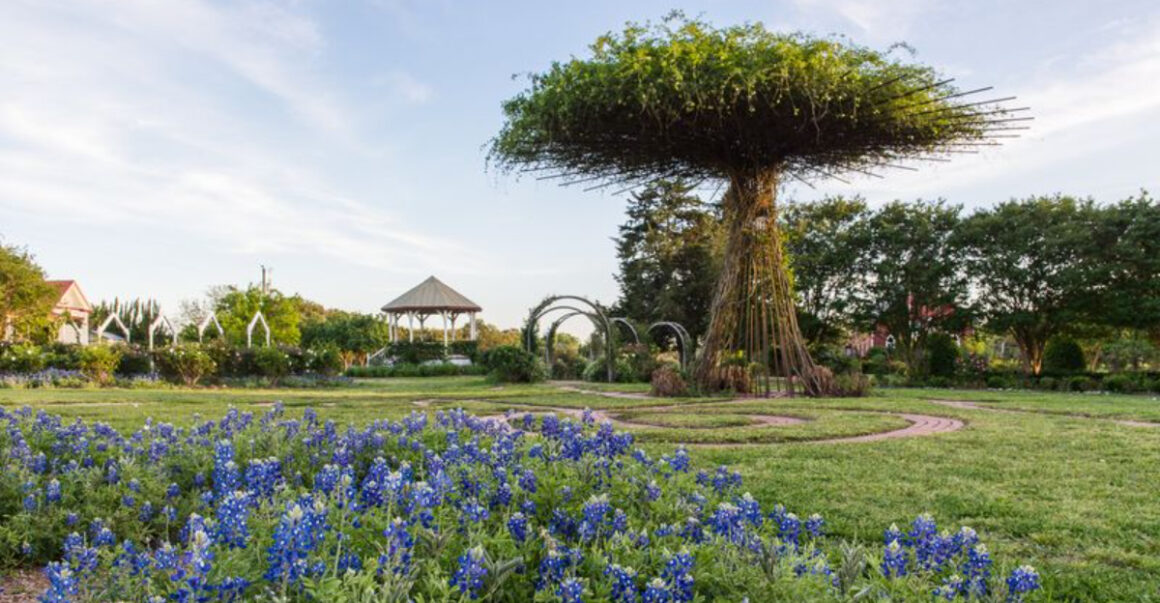 your ultimate texas bluebonnet guide for april dont miss peak bloom