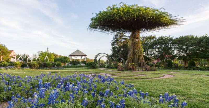 Your Ultimate Texas Bluebonnet Guide for April — Don’t Miss Peak Bloom