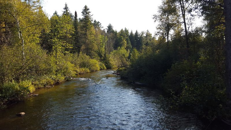 Trout Water Without the Crowds