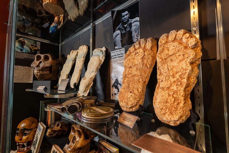 Cryptids, Fairies and Mythical Remains