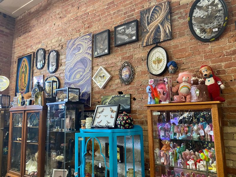 This Spooky Thrift Shop In Michigan Is Packed With Creepy Oddities And Dark Art Collectors Love Wet Specimens and Other Curiosities